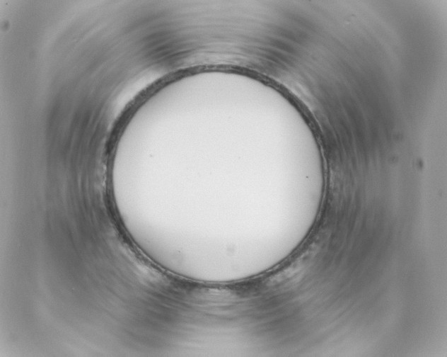 X0000088221119200706051316