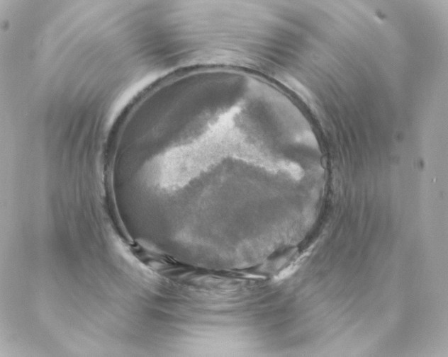 X0000088221120200706051316