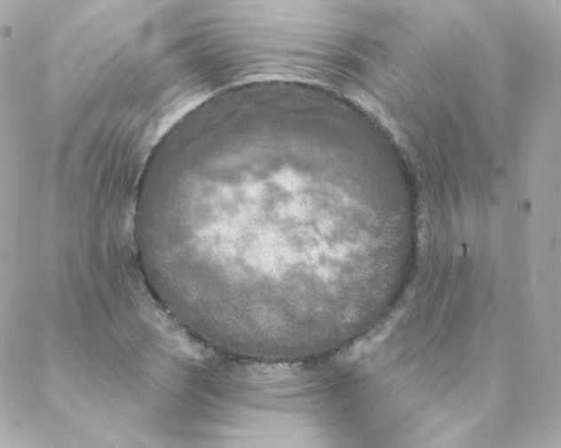 X0000088221121200706051316