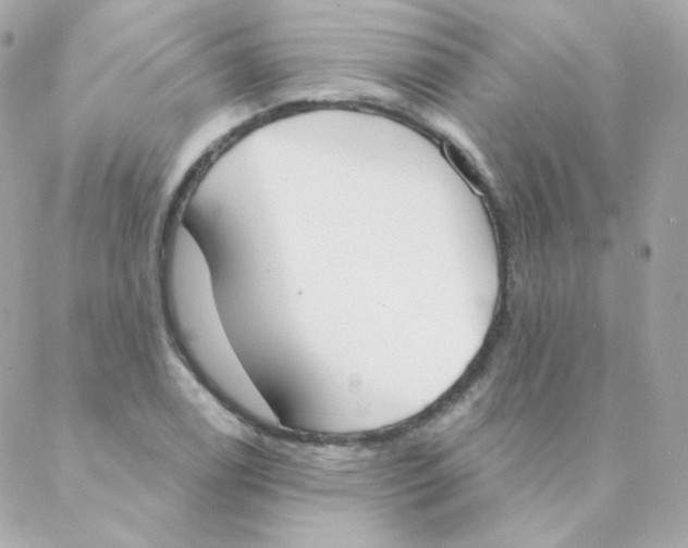 X0000088221122200706051316