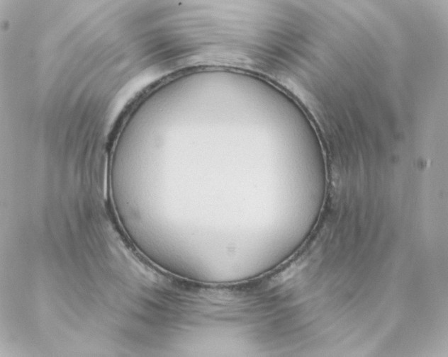 X0000088221123200706051316