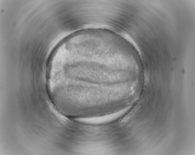 X0000088221124200706051316