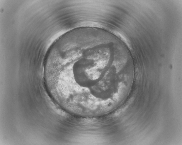 X0000088221125200706051316