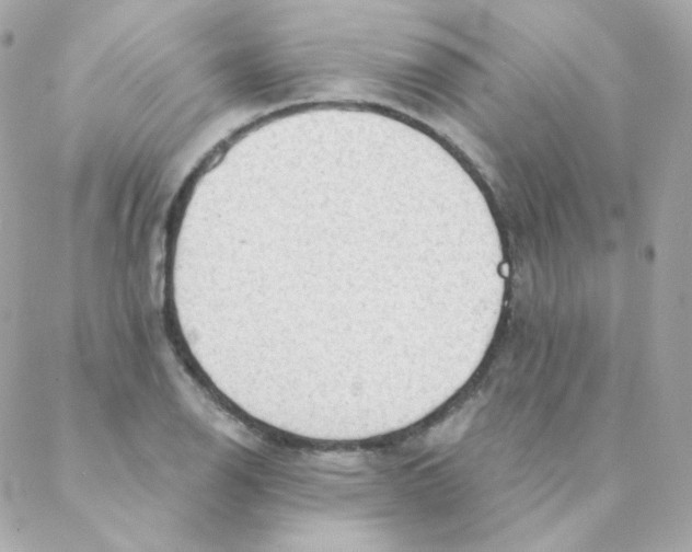 X0000088221126200706051316