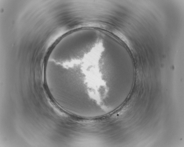 X0000088221127200706051316