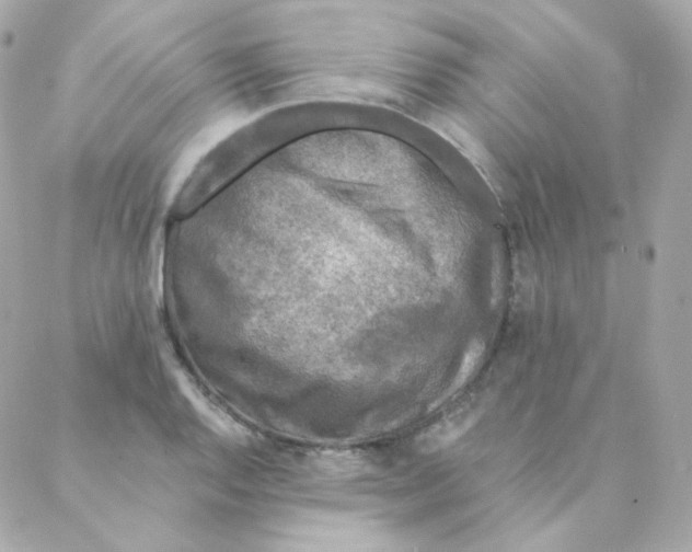 X0000088221128200706051316