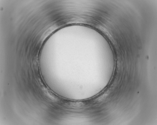 X0000088221129200706051316