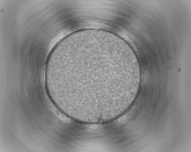 X0000088221130200706051316