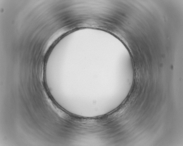 X0000088221131200706051316