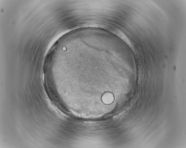 X0000088221132200706051316