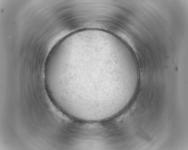 X0000088221133200706051316