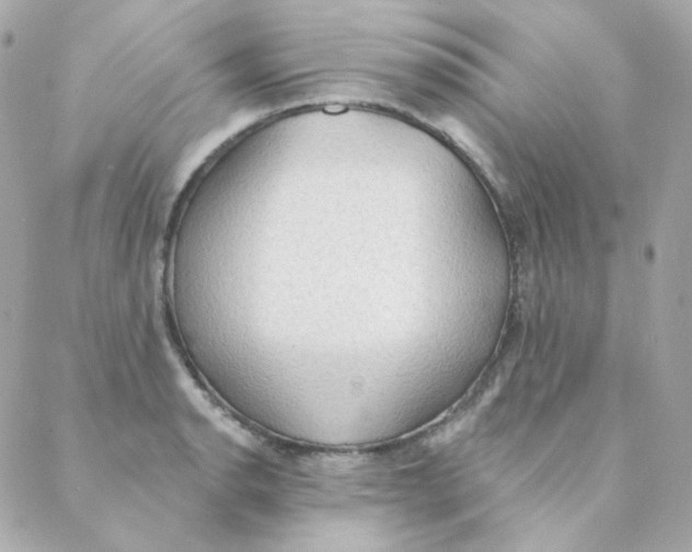 X0000088221134200706051316