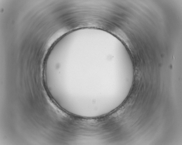 X0000088221135200706051316