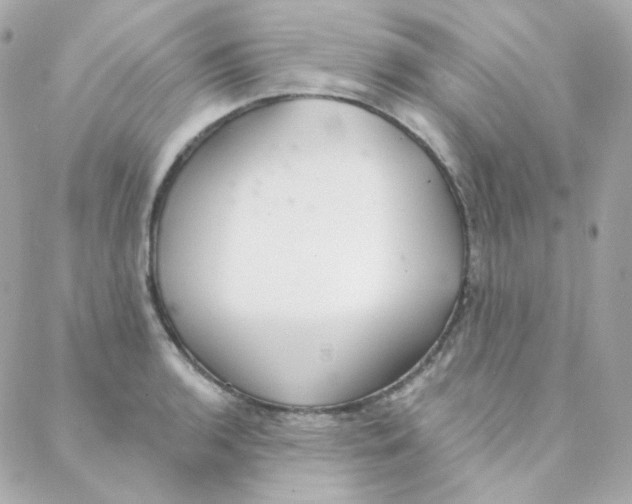 X0000088221136200706051316