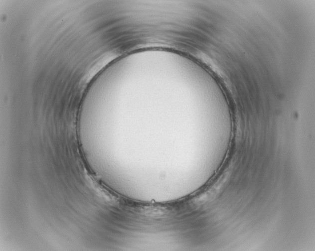 X0000088221137200706051316