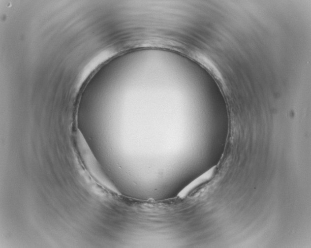 X0000088221138200706051316