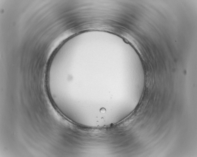 X0000088221139200706051316