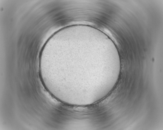 X0000088221140200706051316