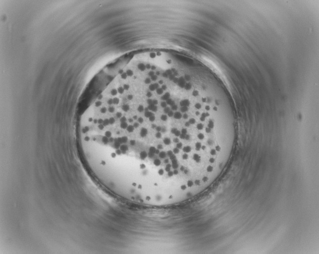 X0000088221141200706051316