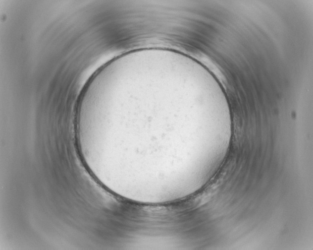 X0000088221142200706051316