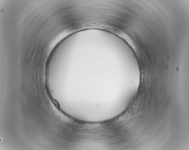 X0000088221143200706051316