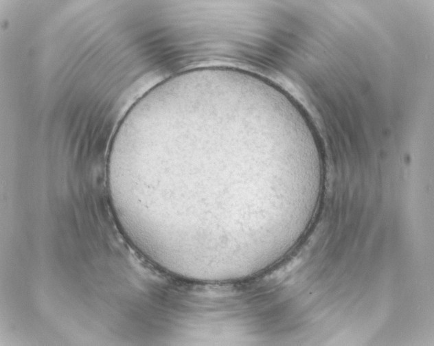 X0000088221145200706051316