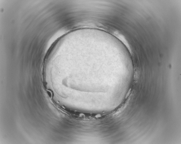 X0000088221146200706051316