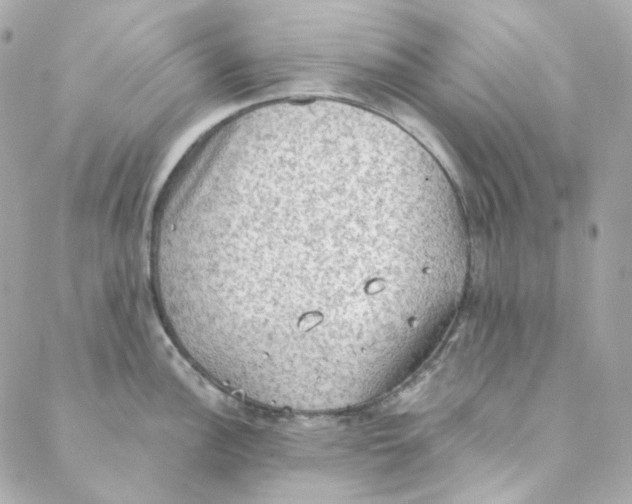 X0000088221148200706051316