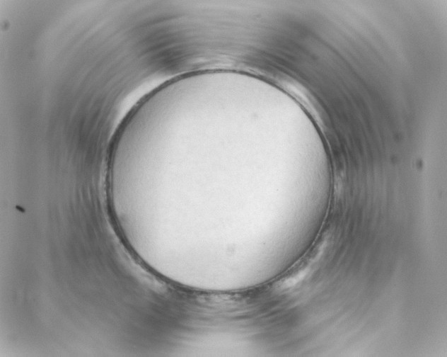 X0000088221149200706051316