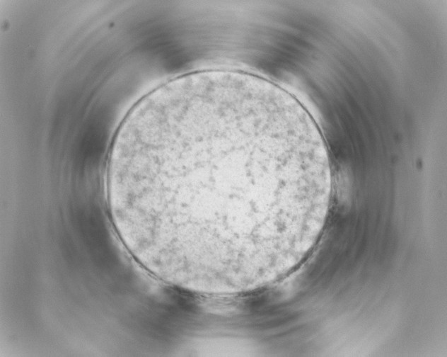 X0000088221150200706051316