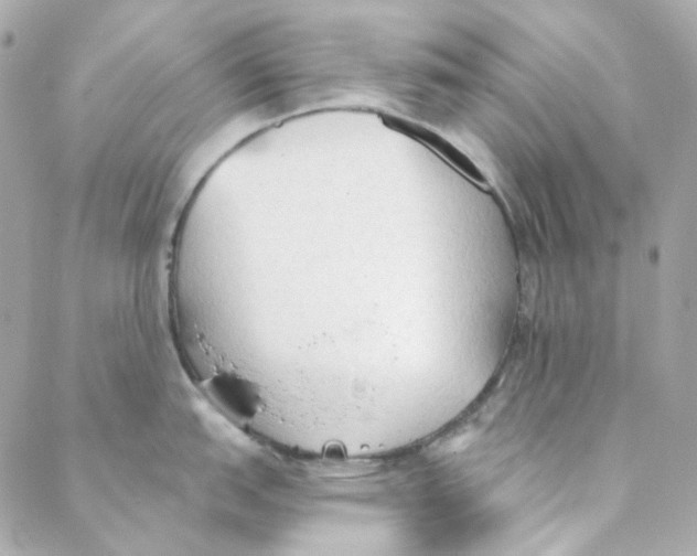 X0000088221151200706051316