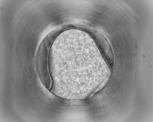 X0000088221152200706051316