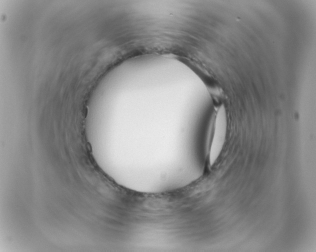 X0000088221153200706051315