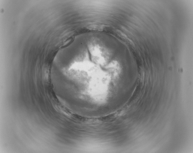 X0000088221154200706051315