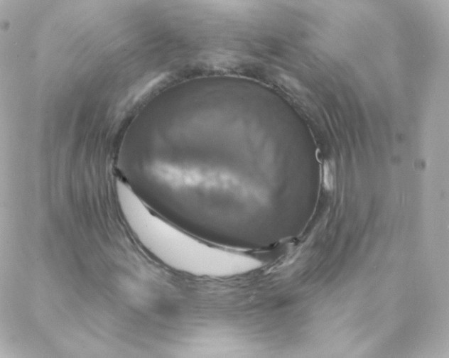 X0000088221155200706051315