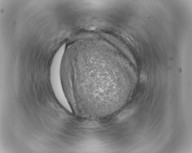 X0000088221156200706051315