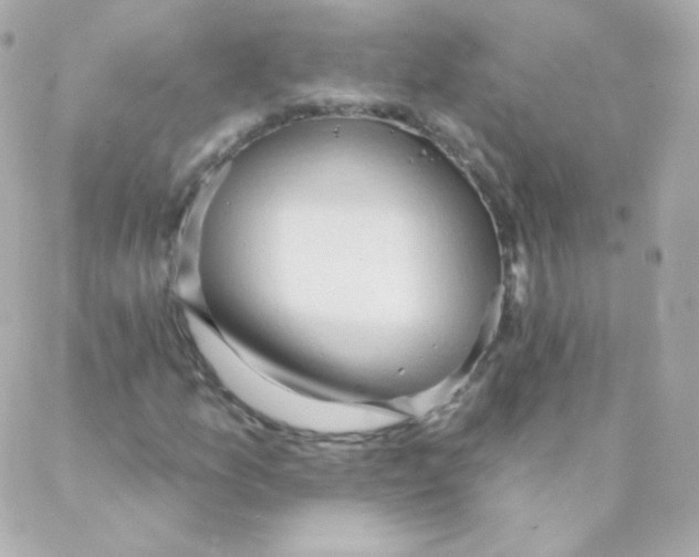 X0000088221157200706051315