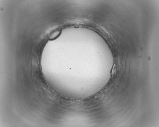 X0000088221158200706051315