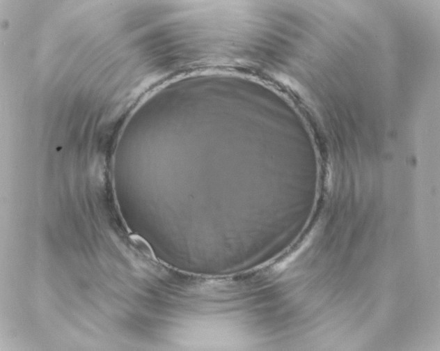 X0000088221161200706051315