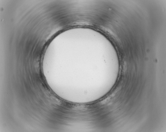 X0000088221162200706051315