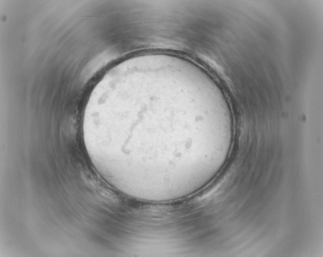 X0000088221163200706051315