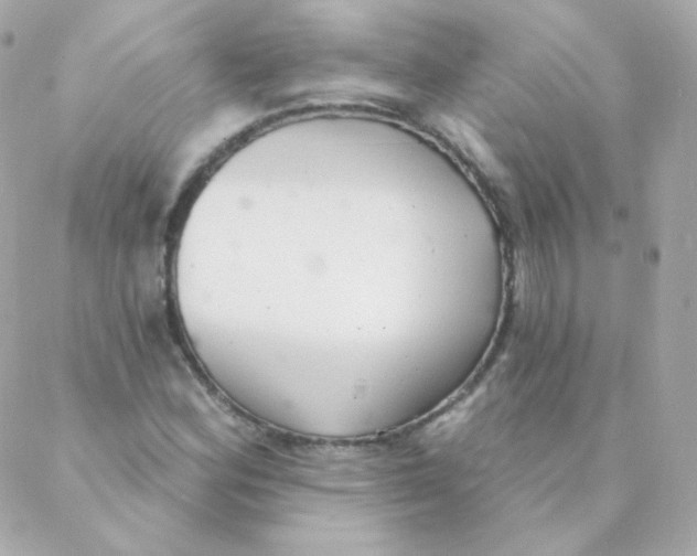 X0000088221164200706051315