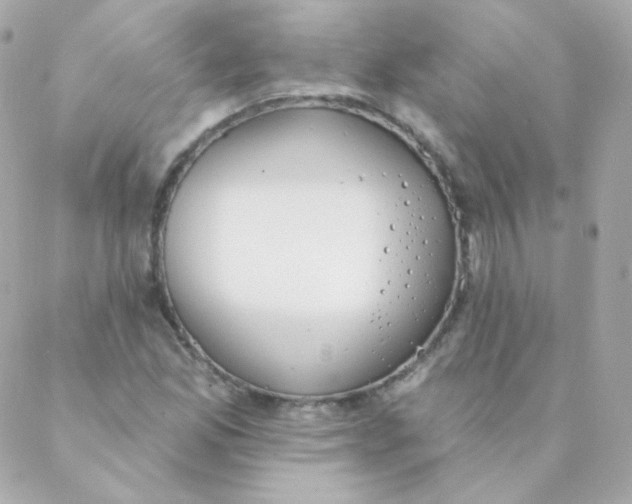 X0000088221165200706051315