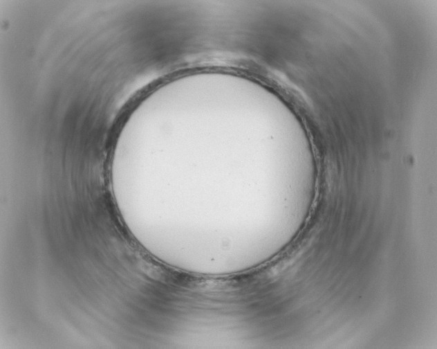 X0000088221166200706051315