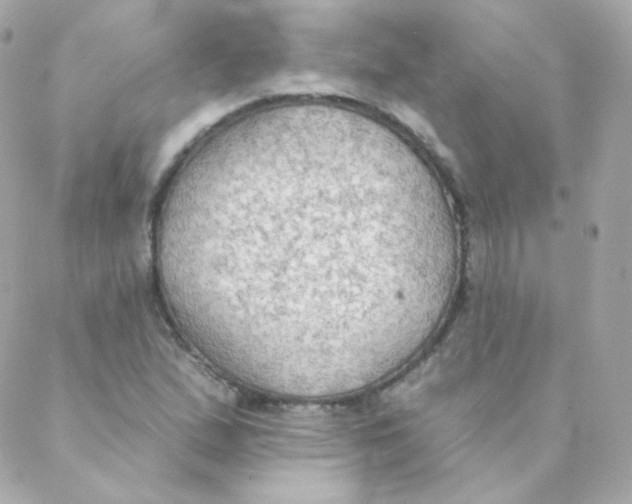 X0000088221167200706051315