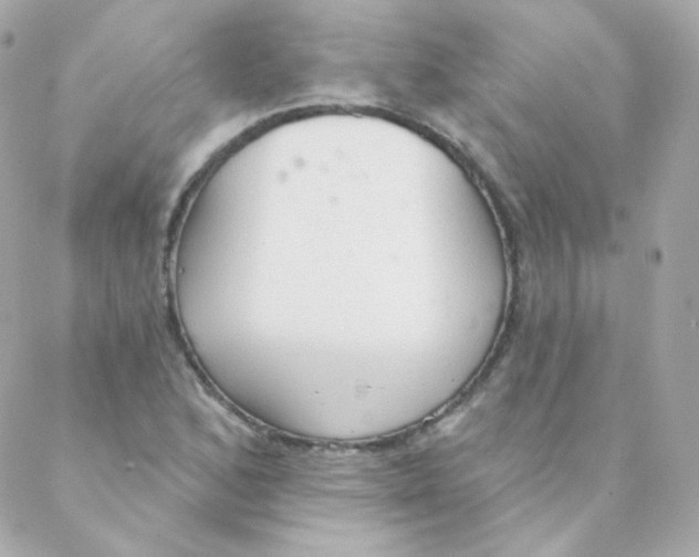 X0000088221168200706051315