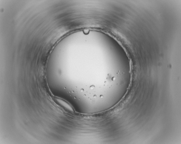 X0000088221169200706051315