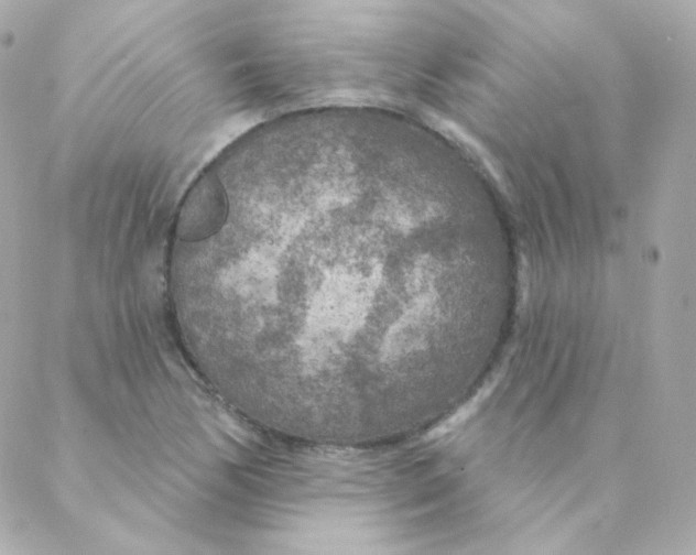 X0000088221170200706051315