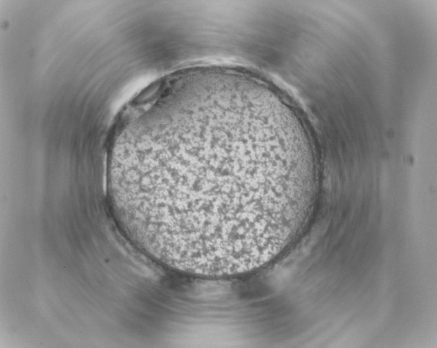 X0000088221171200706051315