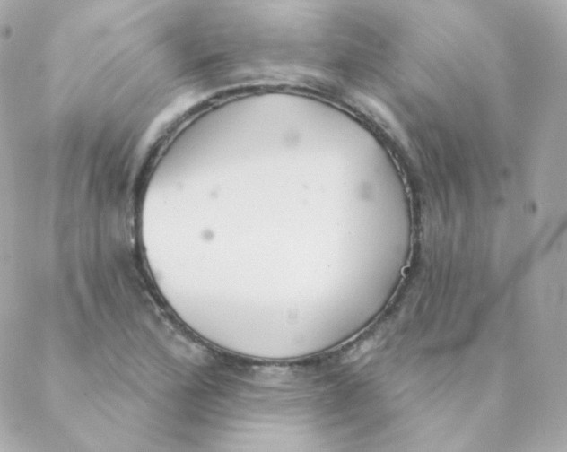 X0000088221172200706051315